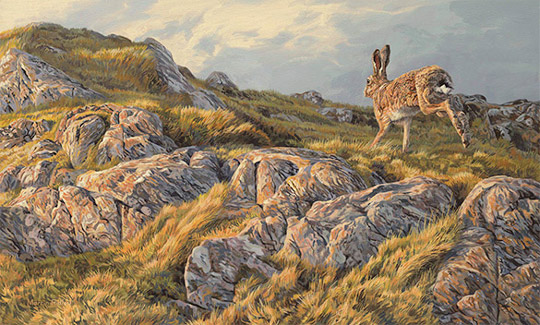 Running brown hare - Oil Painting for Sale